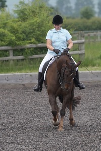 ISIS Dressage Challenge 2008